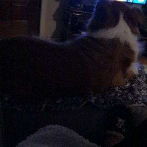 Meet your Posher, Cynthia